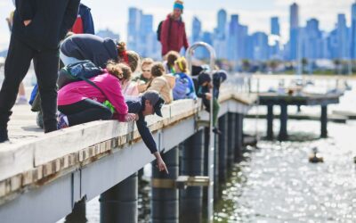 January Holiday Camp Recap